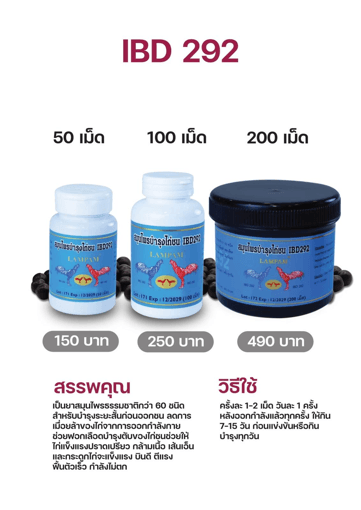 IBD 292