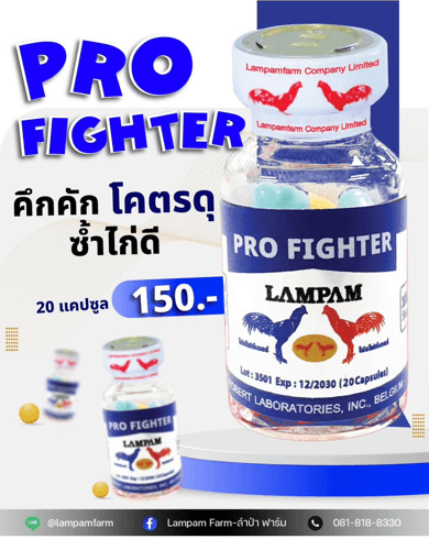 PRO FIGHTER